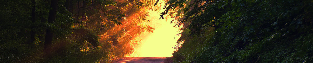 sunlight